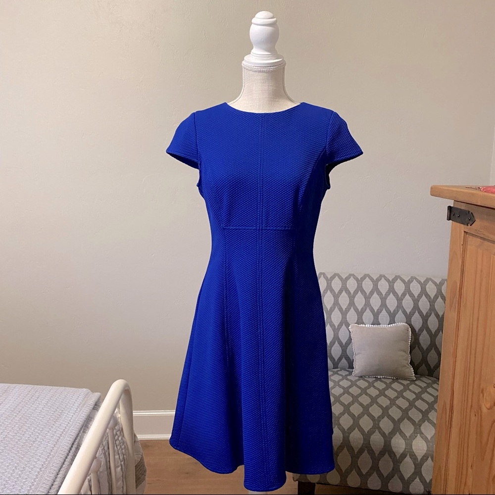 Royal Blue Fit & Flare Dress Cap Sleeve Knee Length Wedding Spring Size 8